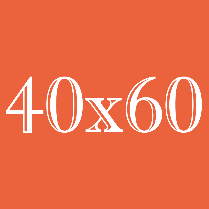 40х60