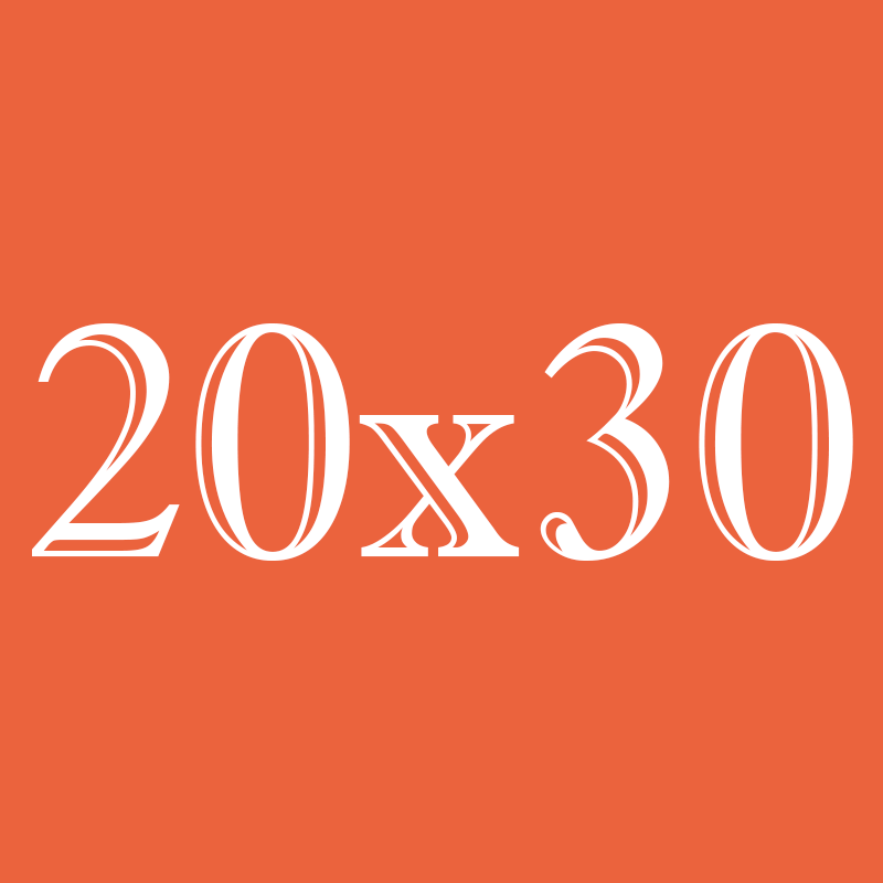 20х30